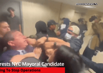 Ice Arrests NYC Mayoral Candidate Trying To Stop An Illegal Migrant From Being Detained